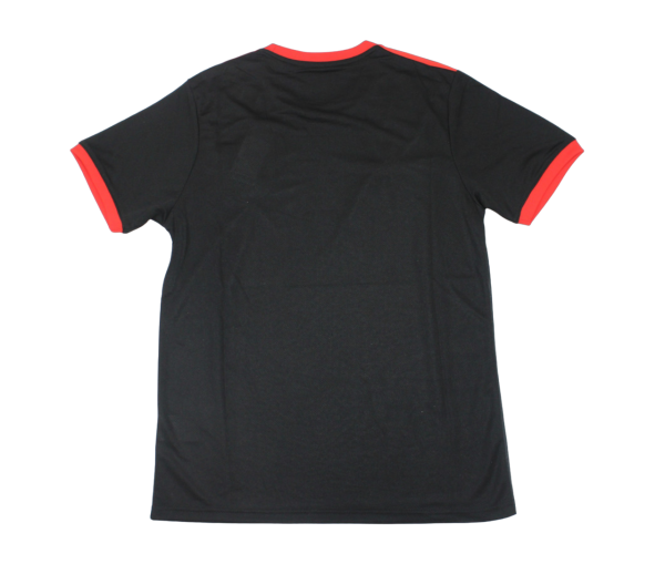 Edición Especial camiseta Japón