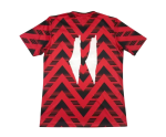 Camiseta Palestina Concepto